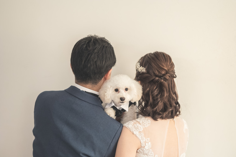 大切な家族とのかけがえのない時間✦