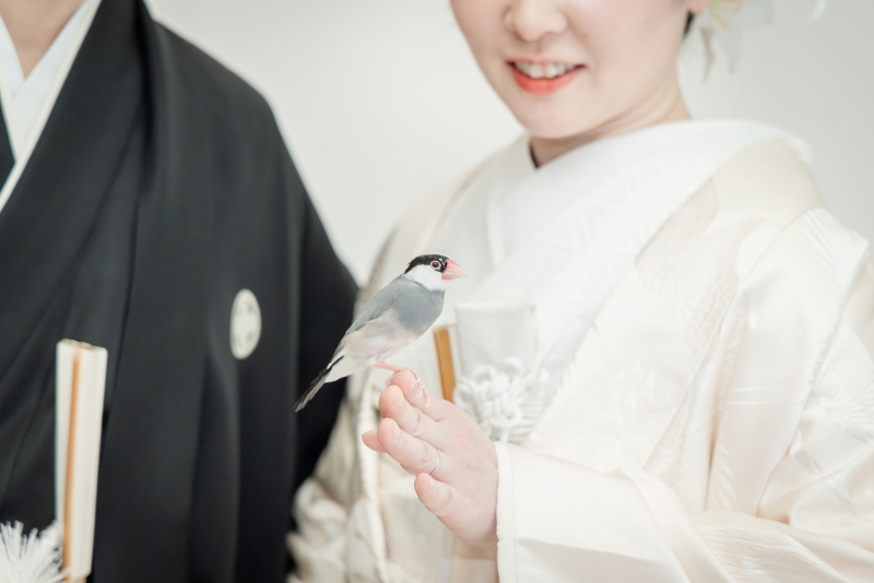 一目散におふたりのもとへ