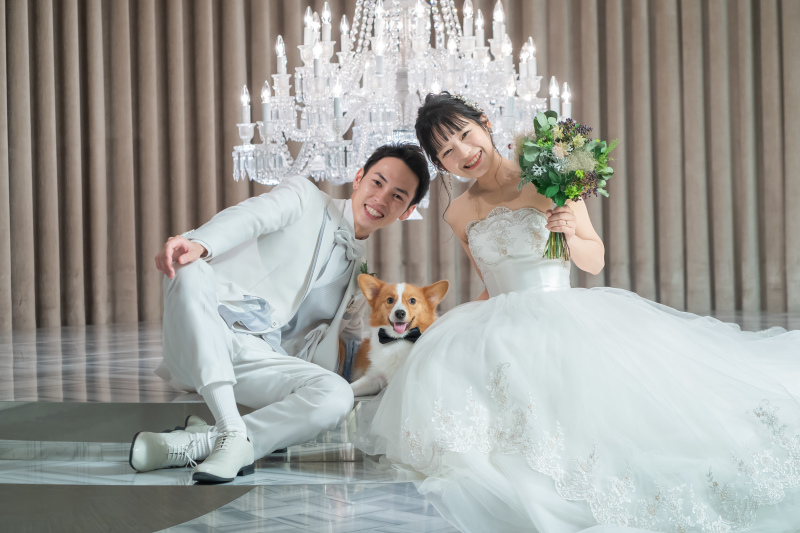 ワンちゃんもおめかし