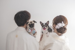 大切なペットとの撮影