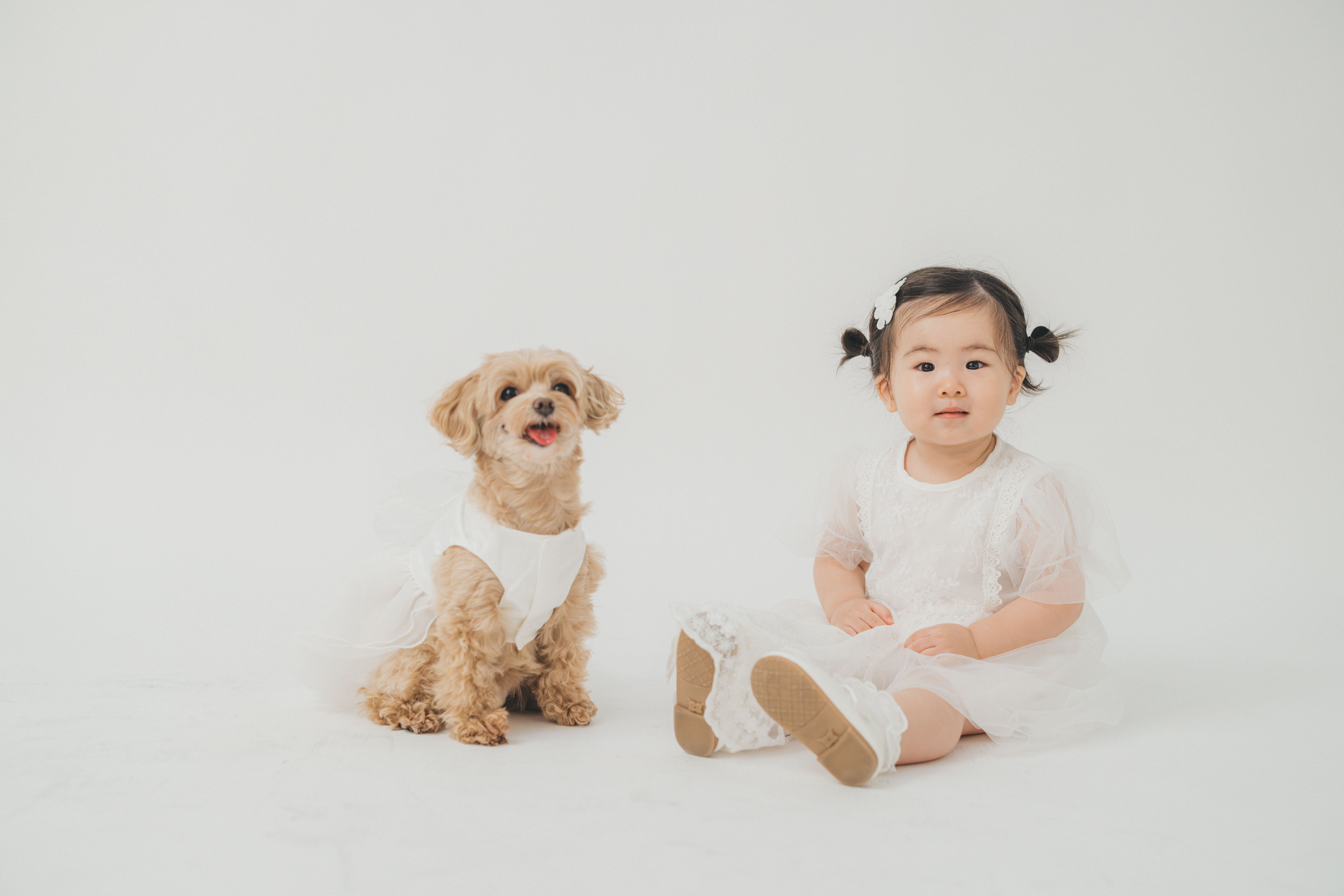 Point1 多彩な撮影シーン