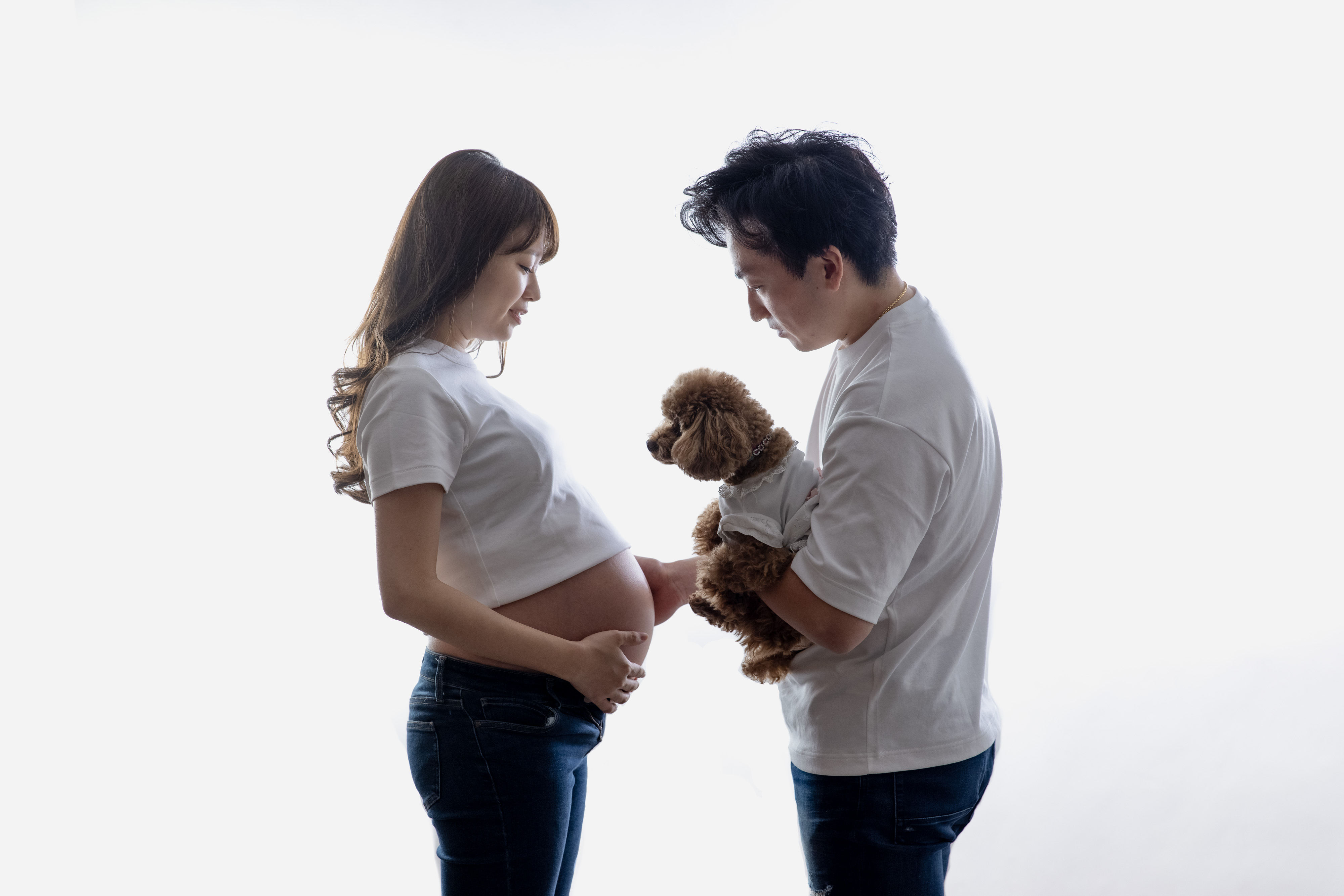 Point1 多彩な撮影シーン