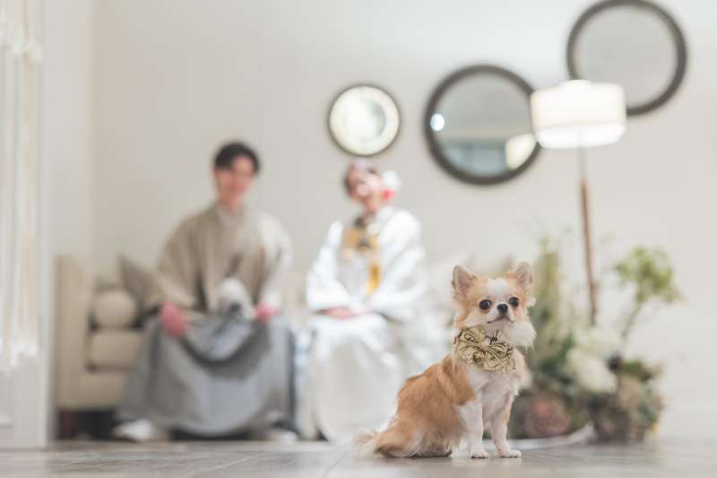 SWITCH梅田_ペットと一緒に撮影できる