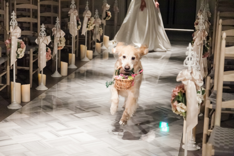 セレモニーに参加も！