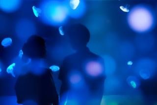 幻想的な1枚から、まるで映画のワンシーンのようなロマンチックなカットまでバリエーション豊富に撮影！おふたりの空気感やその場の雰囲気を読み取り、その瞬間のいちばん素敵な時を写真に切り取ります。