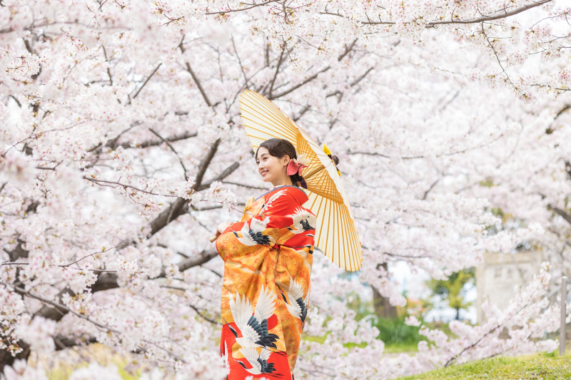 3月下旬〜4月上旬【桜ロケ&スタジオ撮影】ロケとスタジオ撮影セットデータ数100カット!内容充実プランが期間限定で登場!