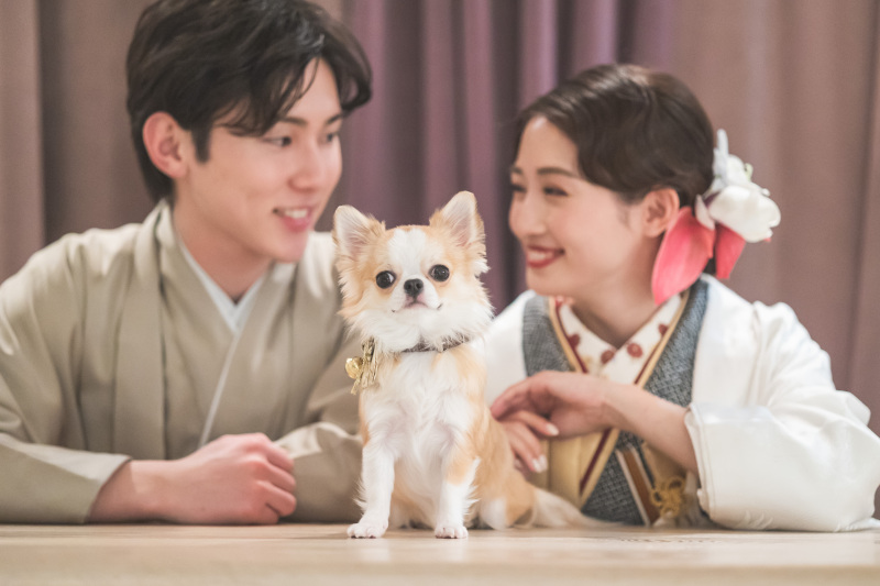 【洋装・和装2着こだわりフォト】館内全てのスポットで撮影OK!こだわり派さん向けプラン
