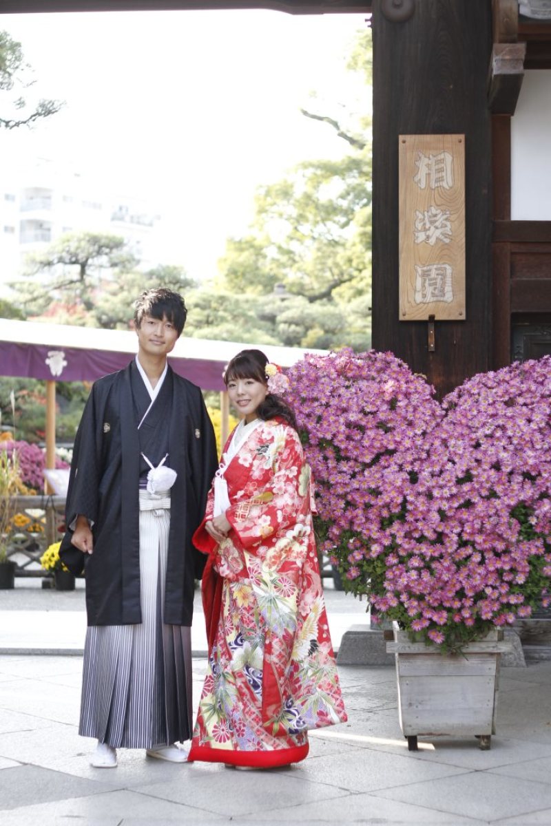 ぴしっと全身で