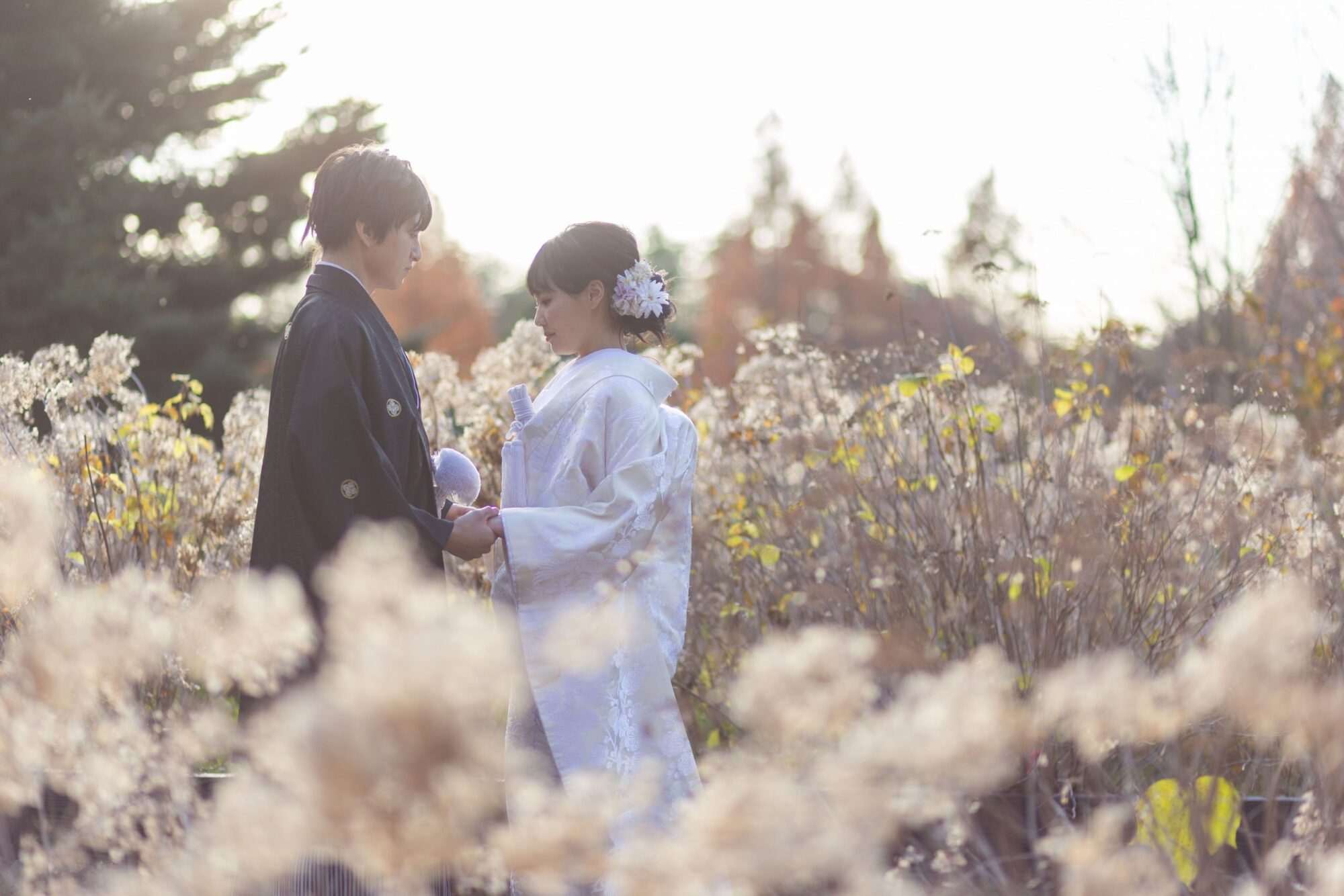 Point1 多彩な撮影シーン