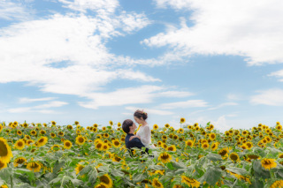 STUDIO ARC 神戸ハーバーランド店_イングランドの丘