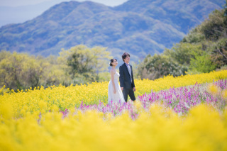 STUDIO ARC 神戸ハーバーランド店_あわじ花さじき