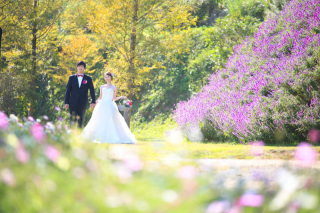 STUDIO ARC 神戸ハーバーランド店_あわじ花さじき