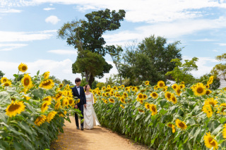 STUDIO ARC 神戸ハーバーランド店_イングランドの丘