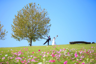 STUDIO ARC 神戸ハーバーランド店_洋装ロケーション（ウエディングドレス・あわじ花さじき）