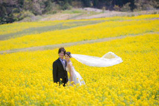 STUDIO ARC 神戸ハーバーランド店_あわじ花さじき