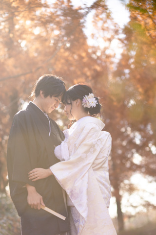 STUDIO ARC 神戸ハーバーランド店_森林植物園