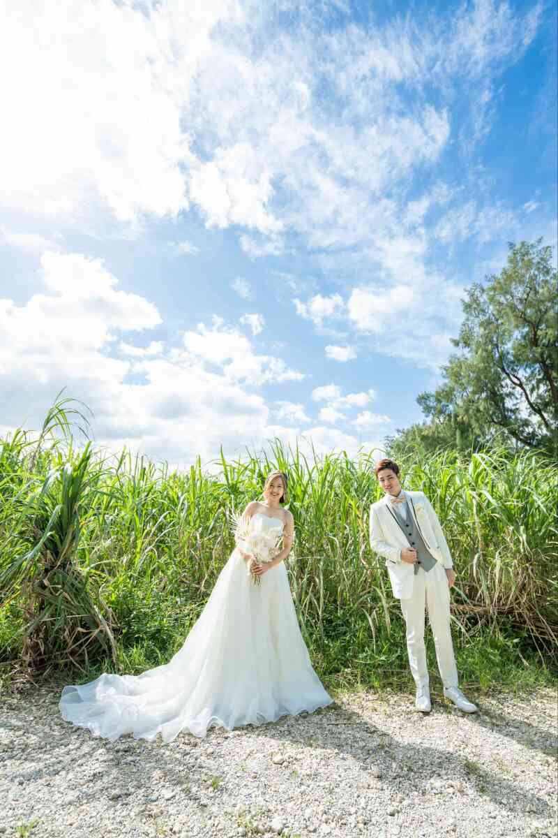 青い空と緑の下で