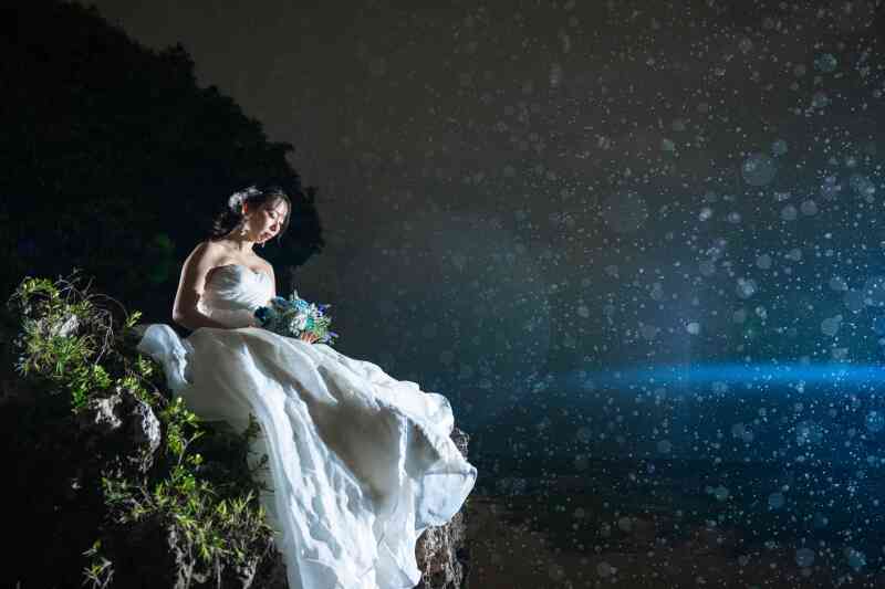 プリンセスと星空