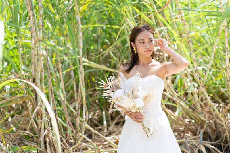 クールビューティー