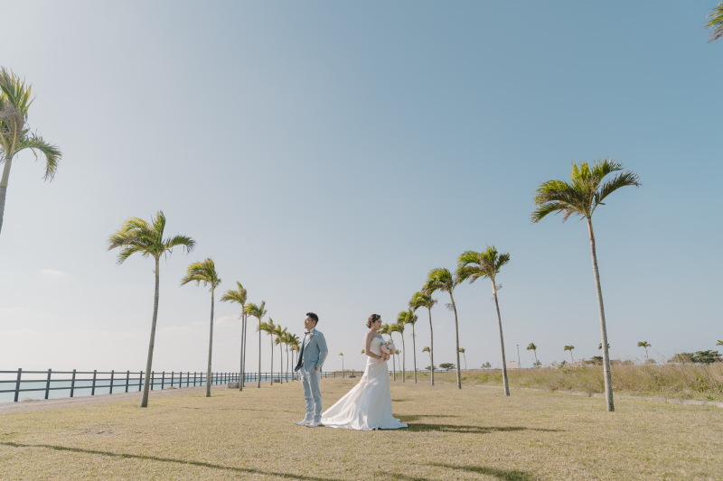 ヤシの木ロード