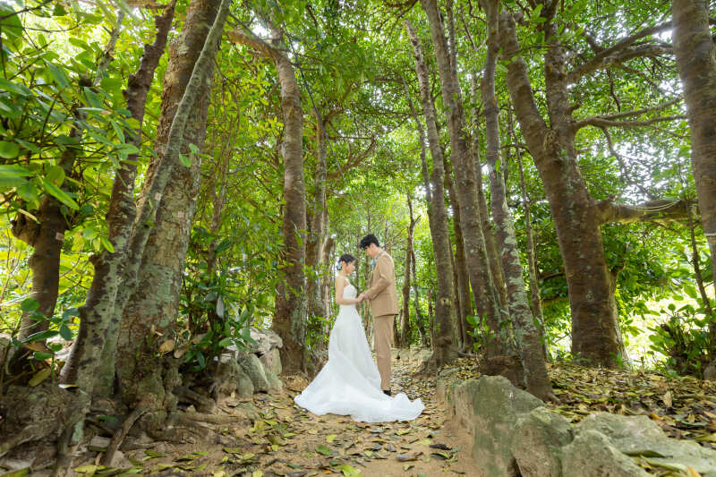 【ビーチ＋フクギ並木プラン】沖縄のイチオシスポットでの撮影♬