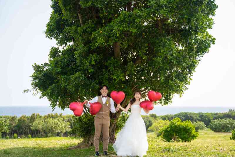 よくばりフォトプラン
