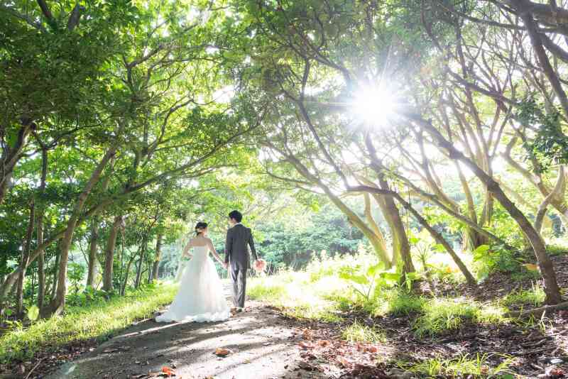 グリーン背景で