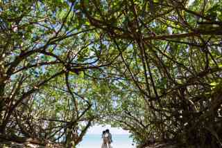 充実のロケーションフォト