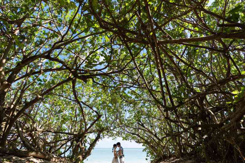 充実のロケーションフォト