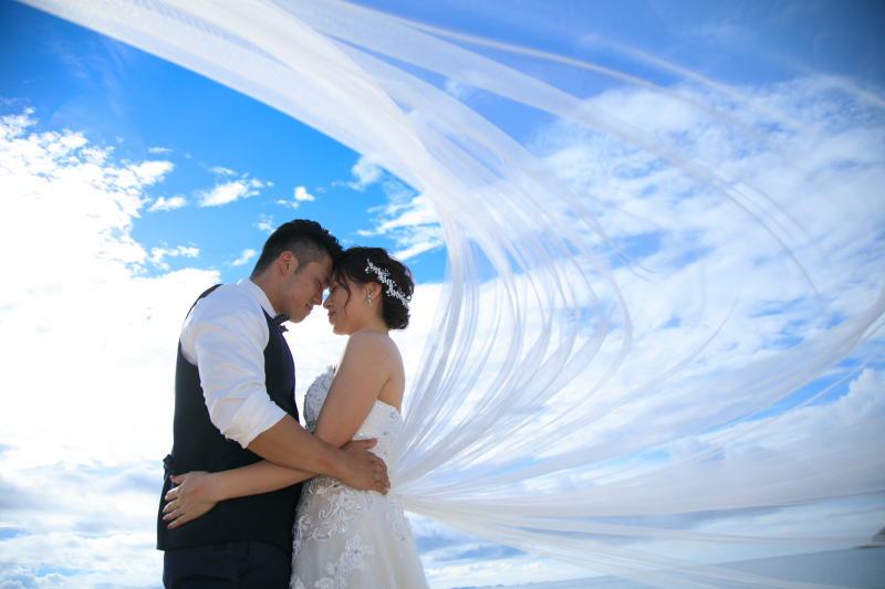 ベールショット