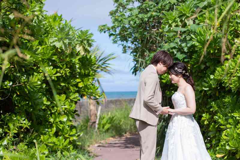 大自然のプラン