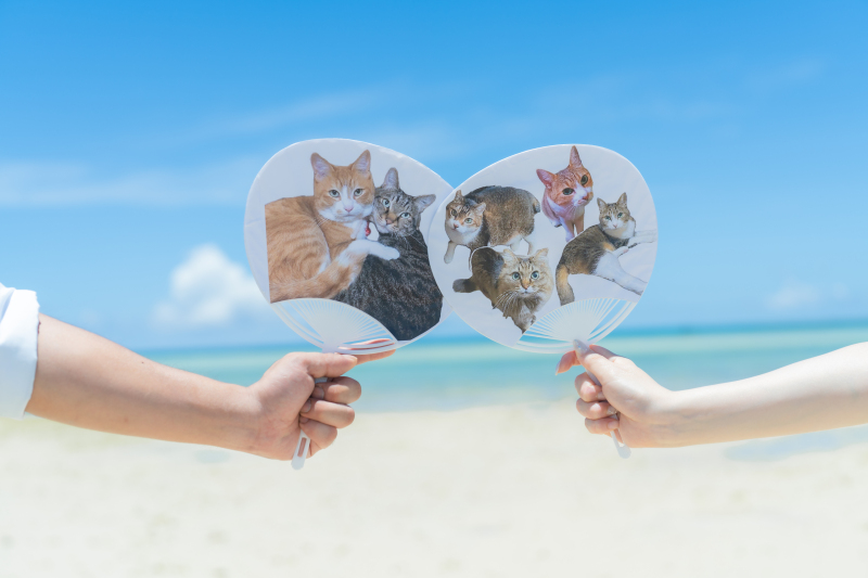 実は裏面にも可愛い子たちがたくさん♡