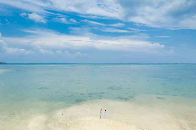 ドローン撮影も