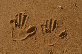 節目になる大切な瞬間を