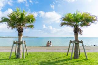 沖縄の魅力を感じ取れるよくばりツアー！