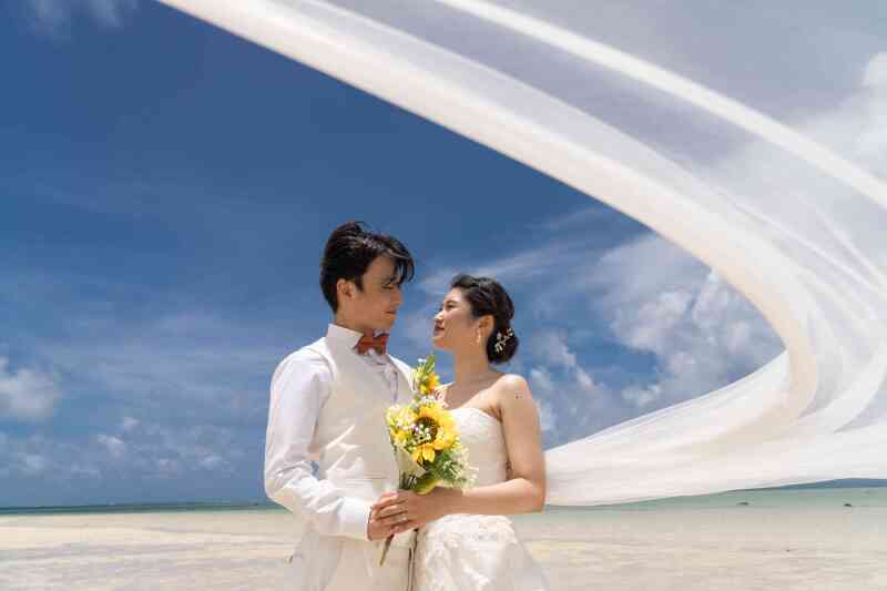 向日葵のように