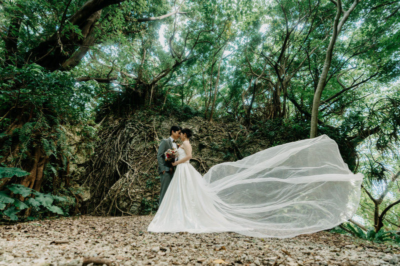 ベールショット