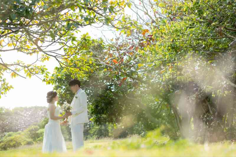 見つめ合いながら