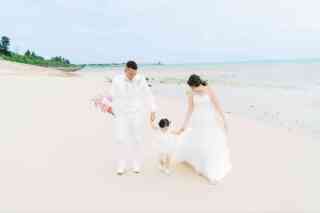 家族撮影も楽しめる