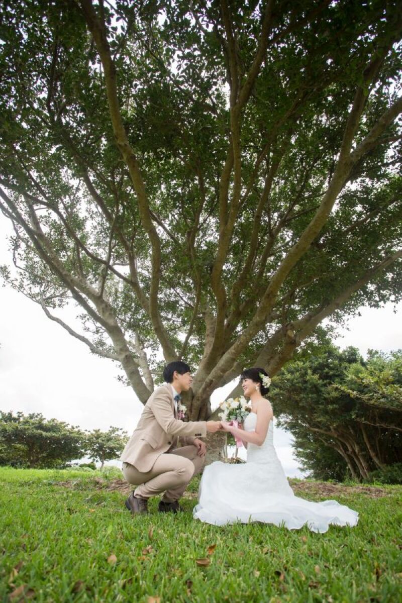 大きな木の下で