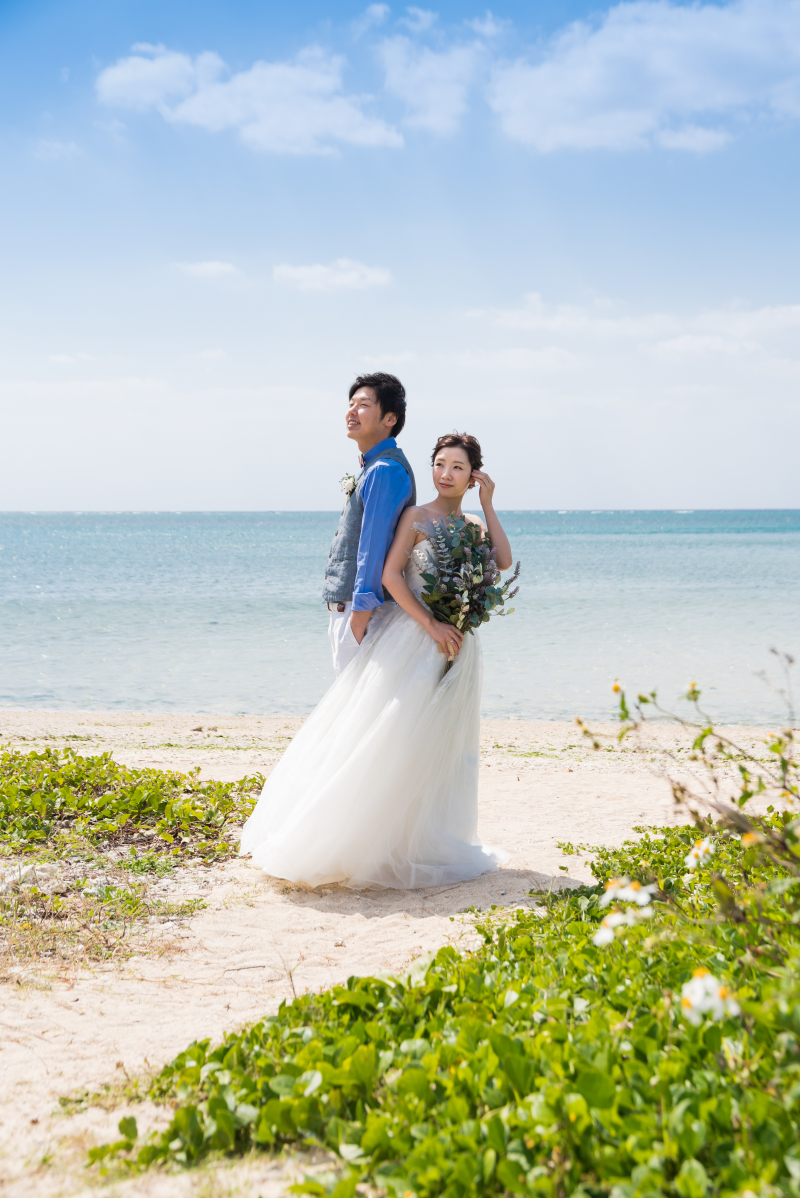 ビーチにも植物はいます