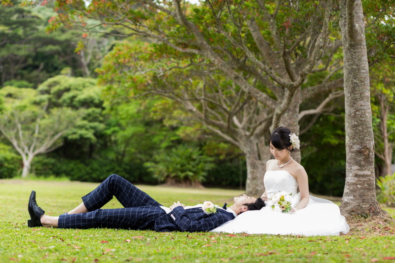 でいごの木に囲まれて