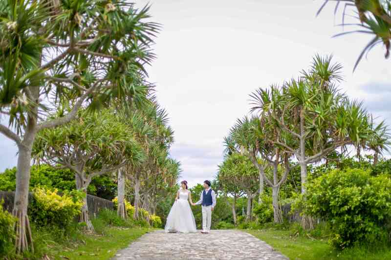 ダイナミックな