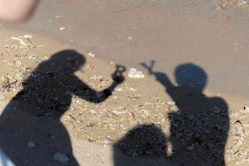 影でおしゃれ演出も