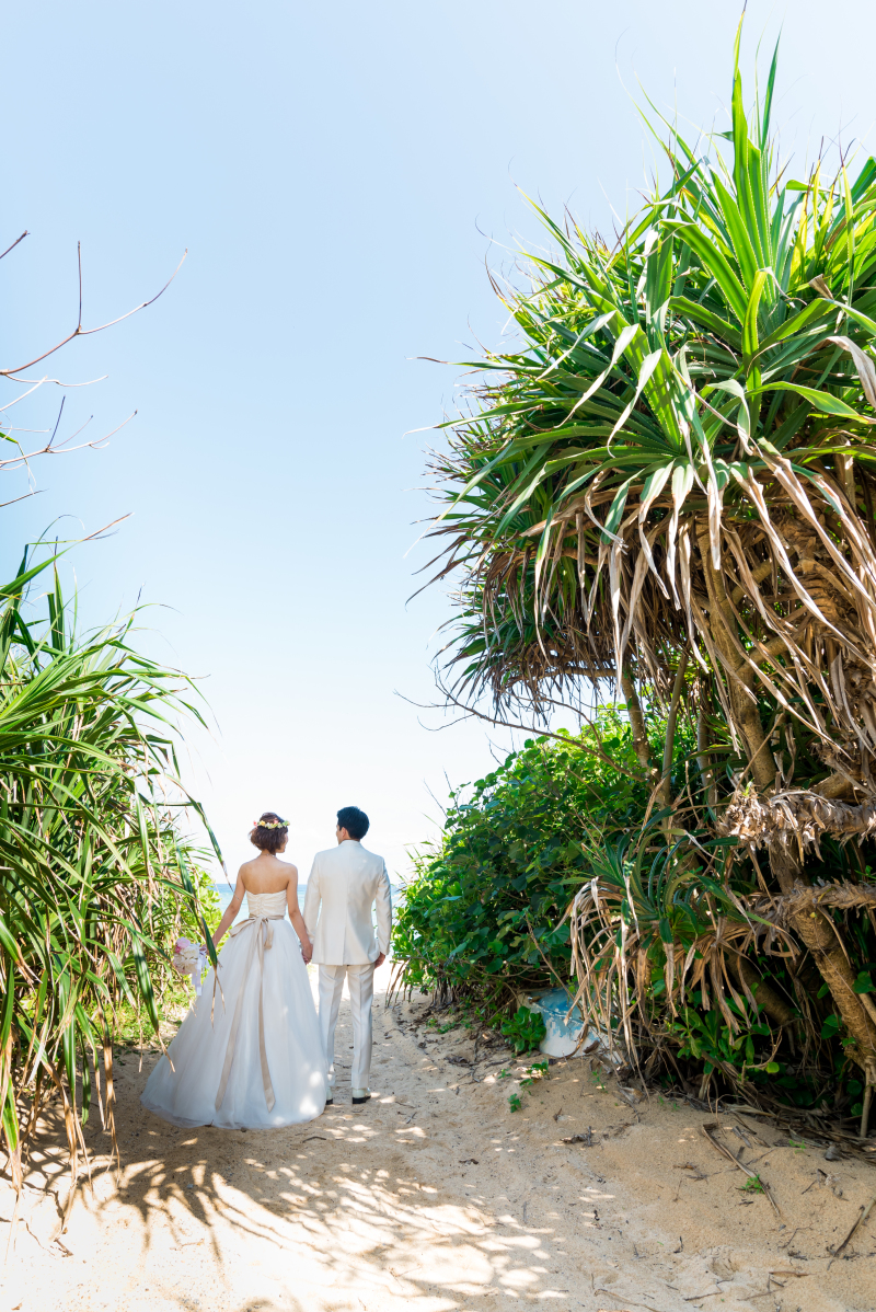 南国感いっぱいの写真♪