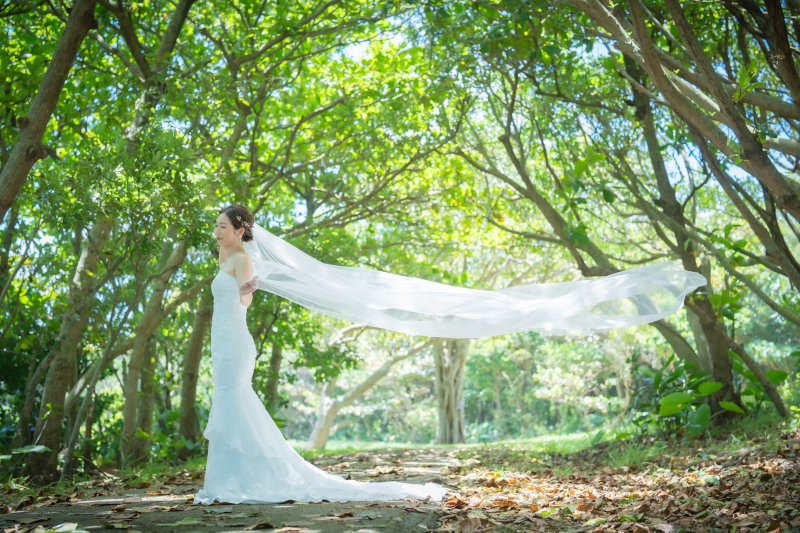 ベールを使って美しい一枚