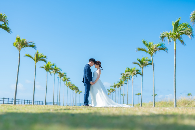 ヤシの木に囲まれて