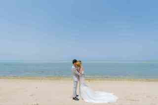 ビーチ100カット