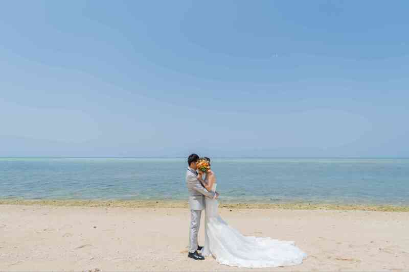 ビーチ100カット