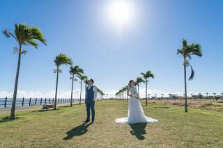 よくばりプランで夢が叶う！